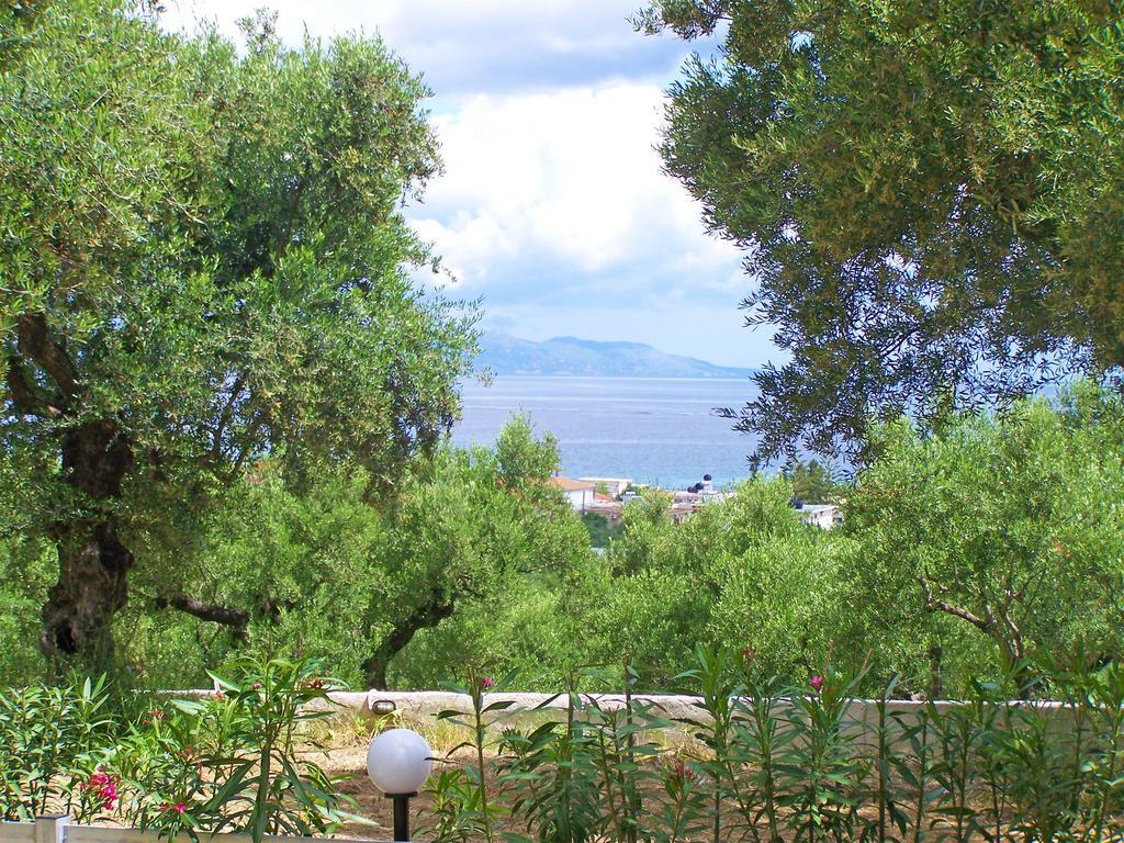 Pouliezos Koklanis Zante Apartments 알리케스 외부 사진
